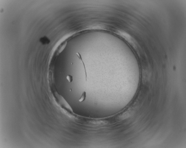 X0000074311331200609081932