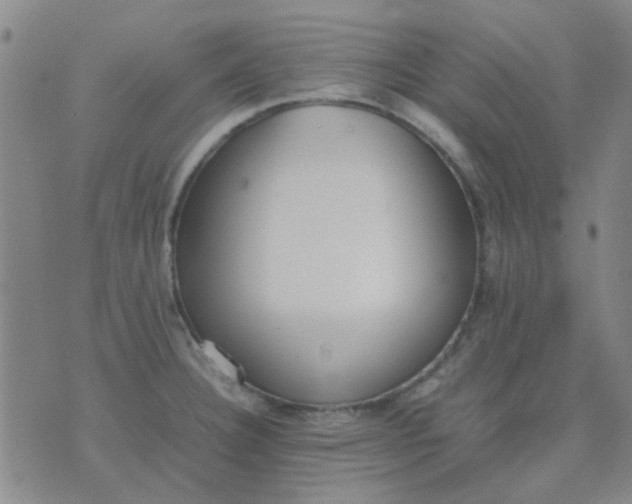 X0000074311332200609081932