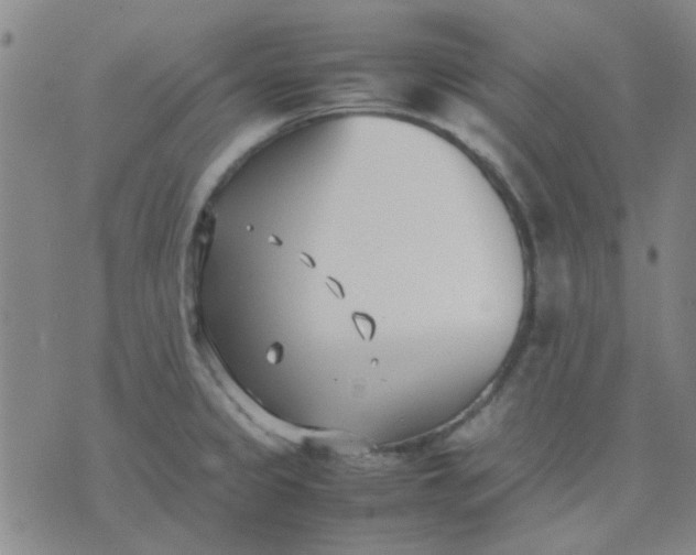 X0000074311333200609081932