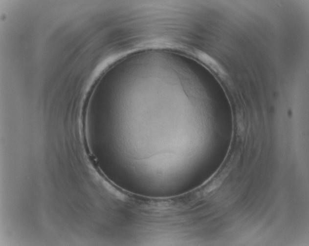 X0000074311334200609081932