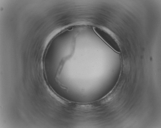 X0000074311335200609081932