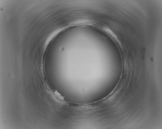 X0000074311336200609081932