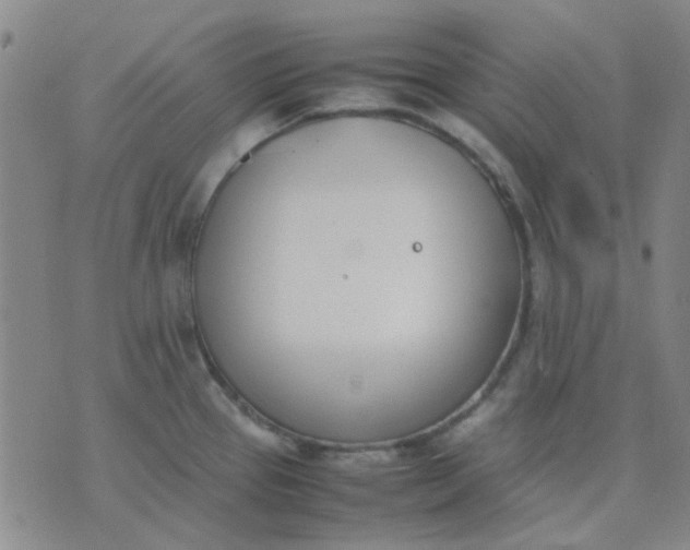 X0000074311337200609081933