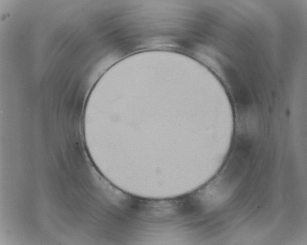 X0000074311338200609081933