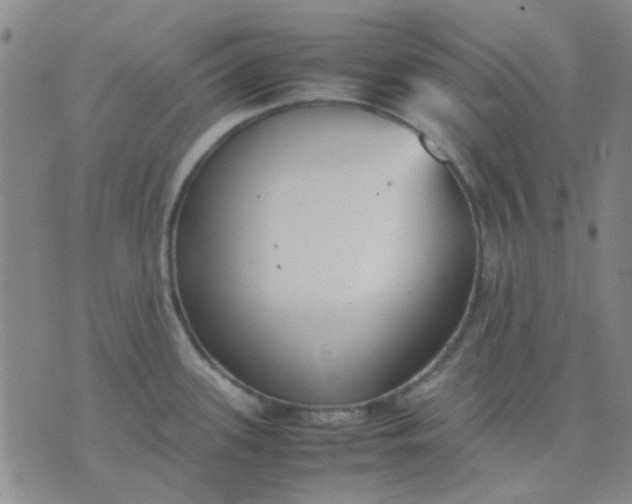 X0000074311339200609081933