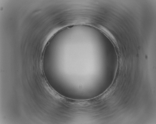 X0000074311340200609081933