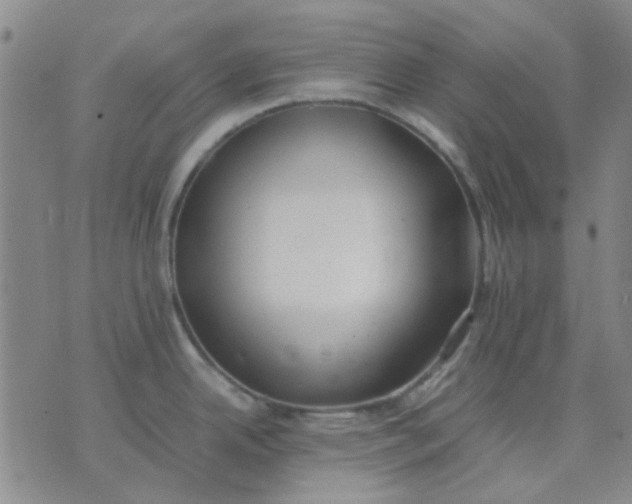 X0000074311342200609081933