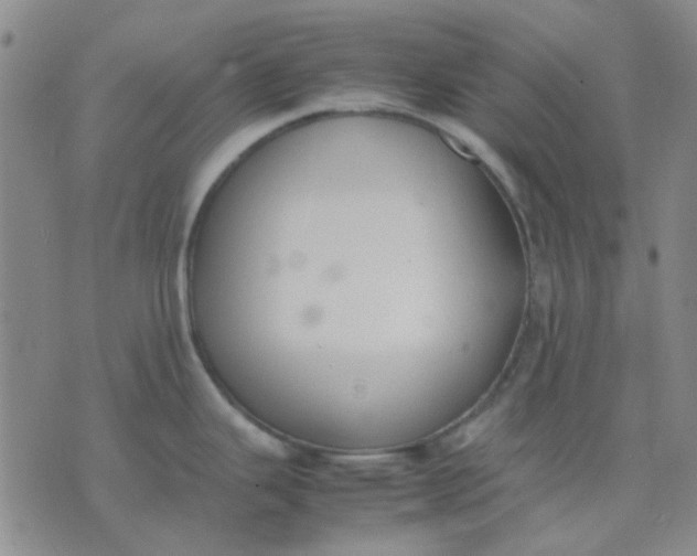 X0000074311343200609081933