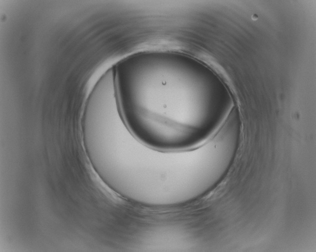 X0000074311344200609081933