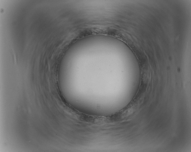 X0000074311345200609081932