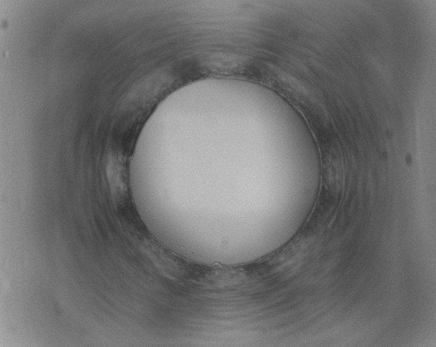 X0000074311346200609081932