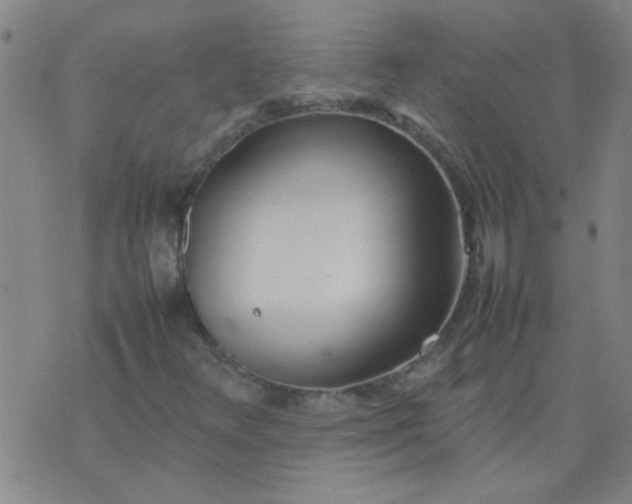 X0000074311348200609081932