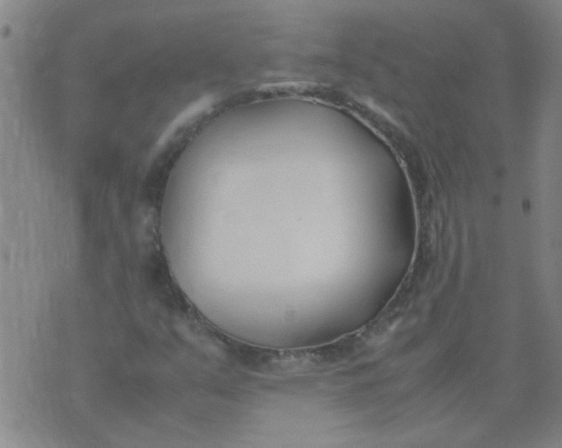 X0000074311351200609081932