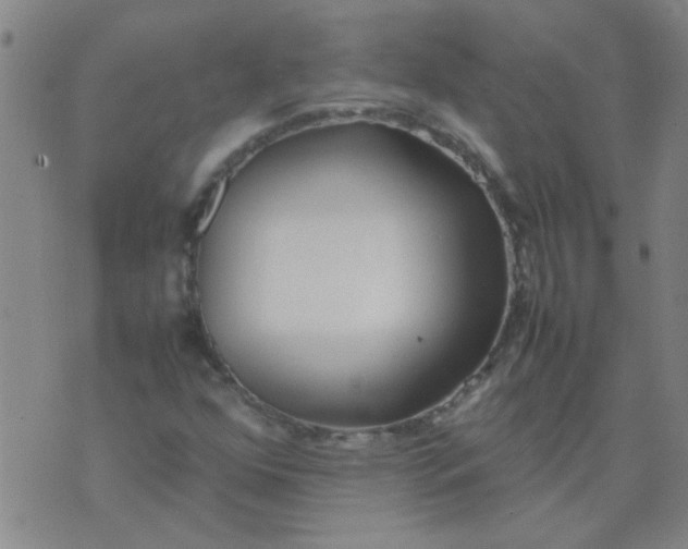 X0000074311352200609081932