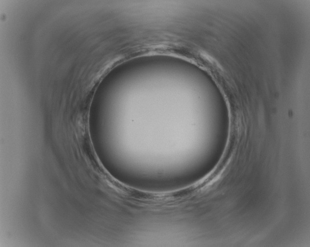 X0000074311353200609081932