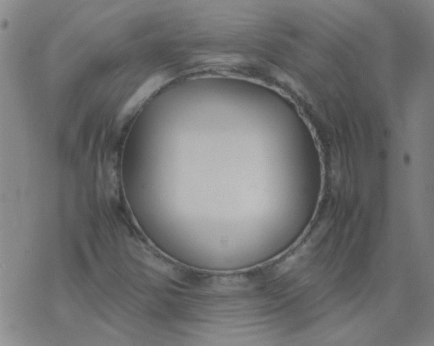 X0000074311354200609081932