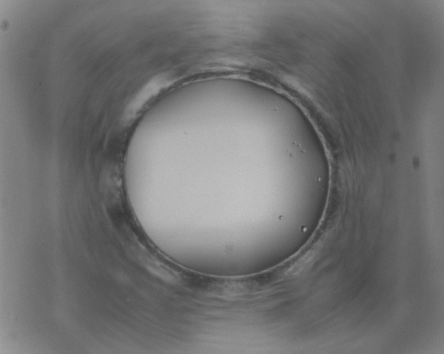 X0000074311355200609081932