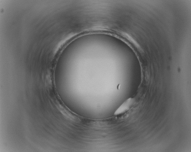 X0000074311356200609081932