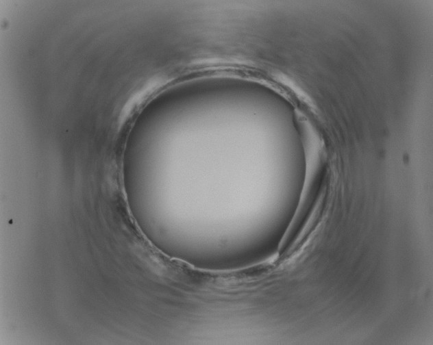 X0000074311357200609081932