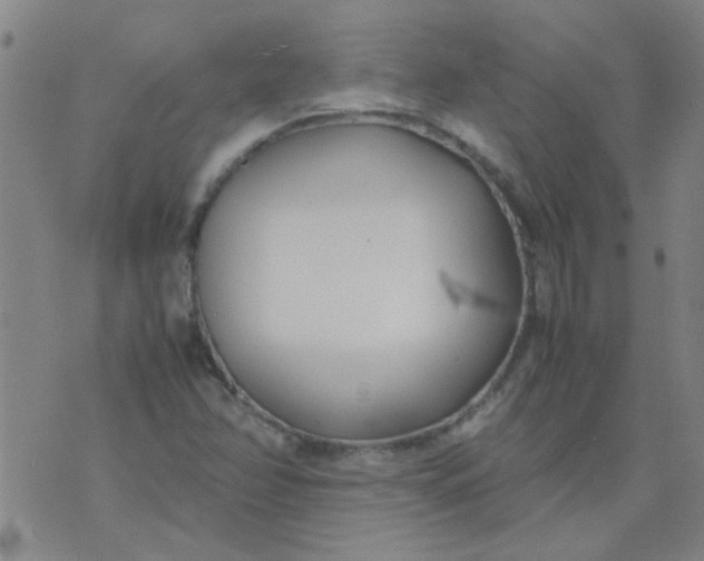 X0000074311358200609081932