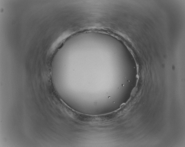 X0000074311359200609081932