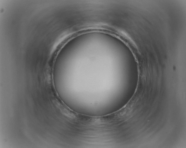 X0000074311360200609081932