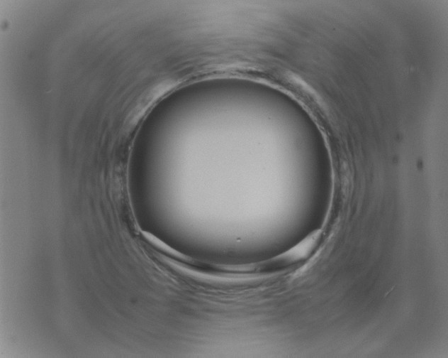 X0000074311361200609081932