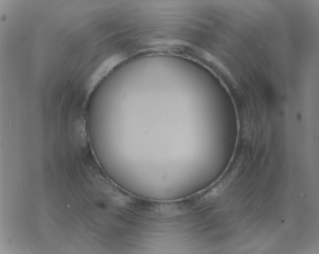 X0000074311362200609081932