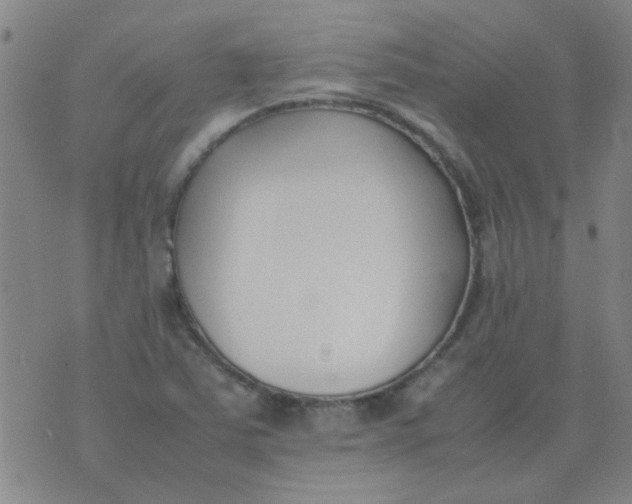 X0000074311363200609081932