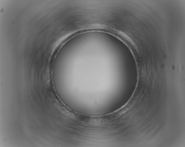 X0000074311364200609081932