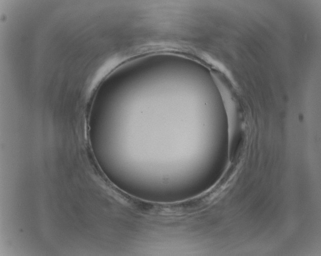 X0000074311365200609081932