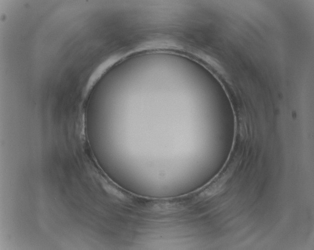 X0000074311366200609081931