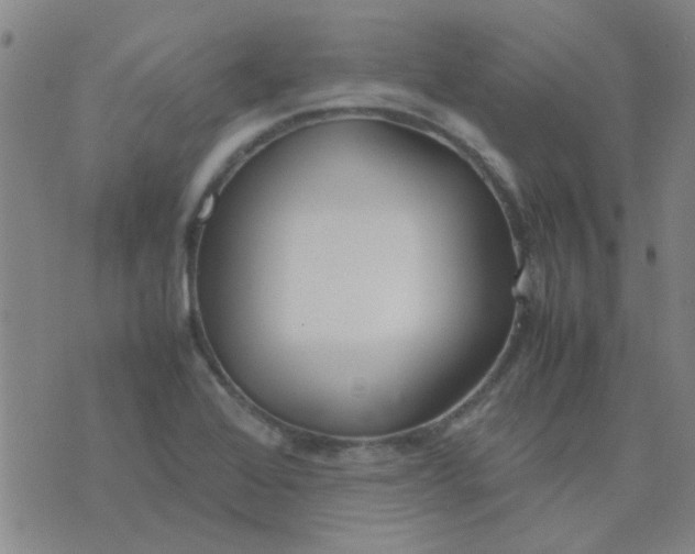 X0000074311368200609081931