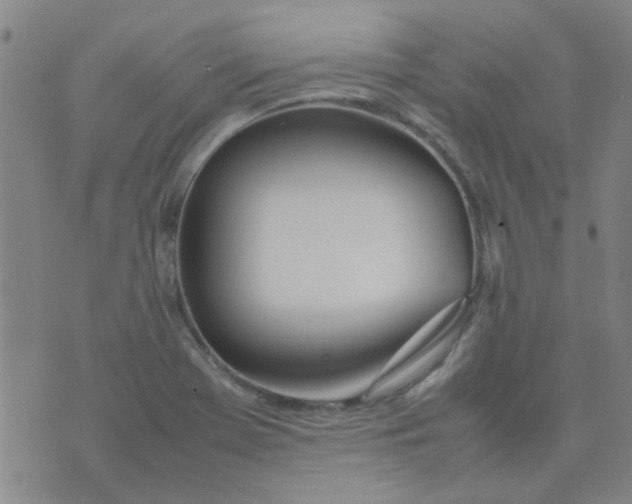 X0000074311369200609081931