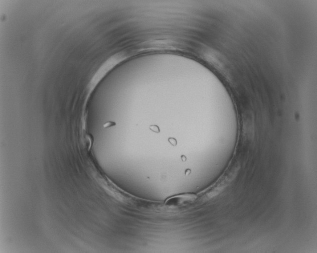 X0000074311370200609081931