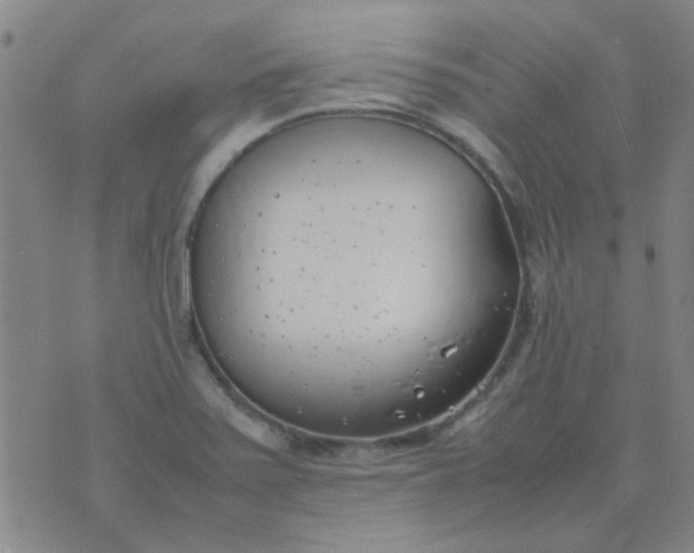 X0000074311371200609081931