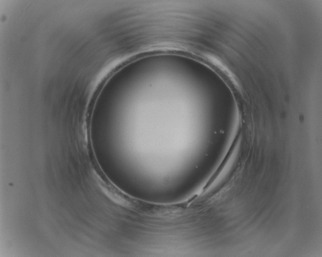 X0000074311372200609081931