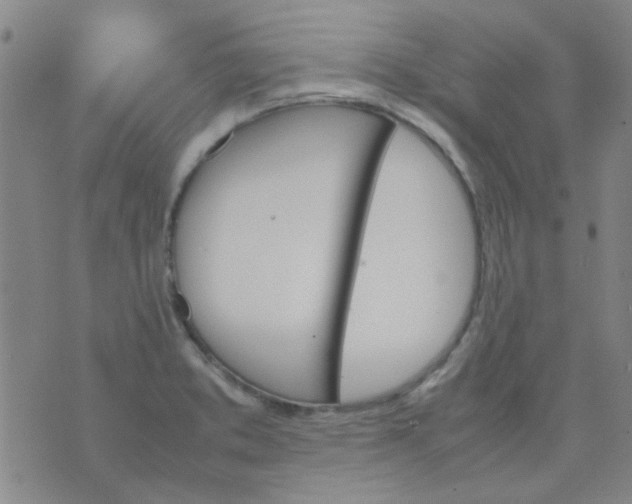 X0000074311373200609081931