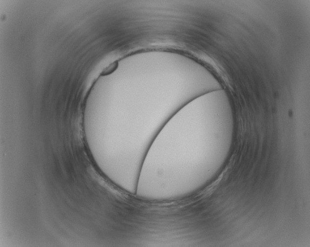 X0000074311374200609081931