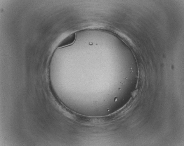 X0000074311375200609081931