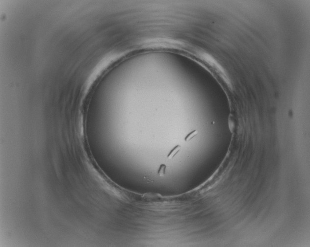 X0000074311376200609081931