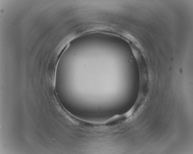 X0000074311377200609081931