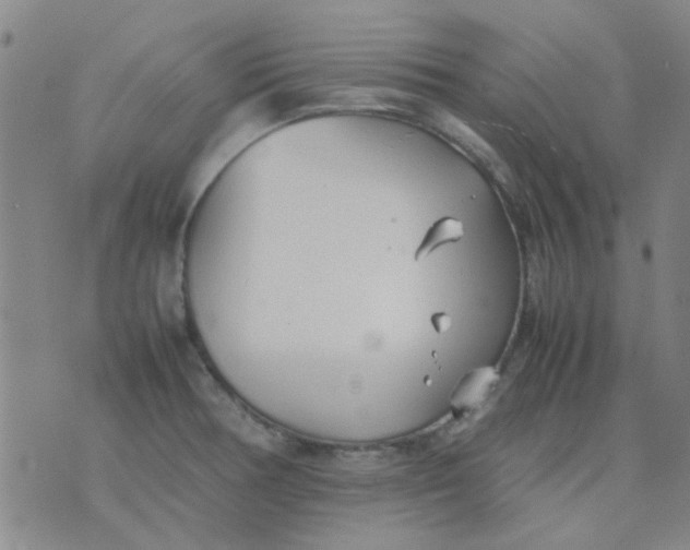 X0000074311378200609081931