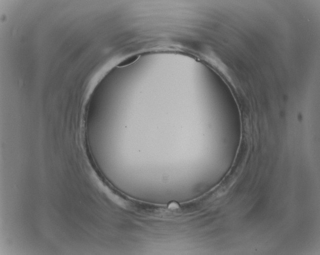 X0000074311379200609081931