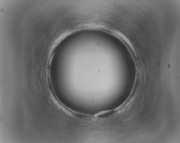 X0000074311381200609081931