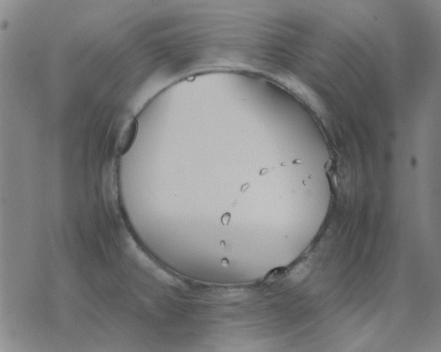 X0000074311382200609081931