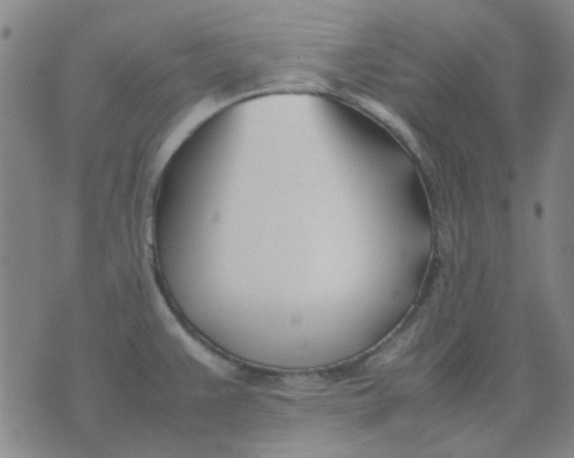 X0000074311383200609081931