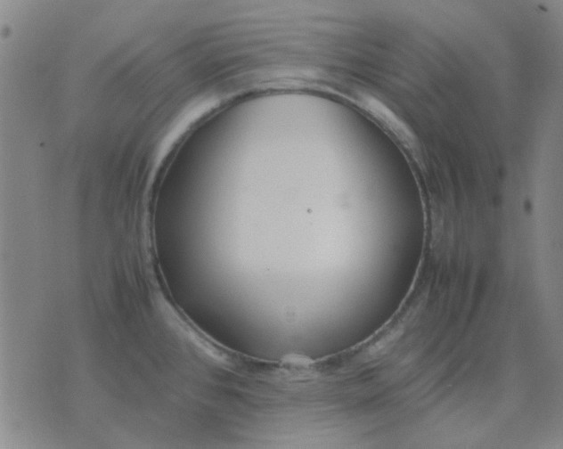 X0000074311384200609081931