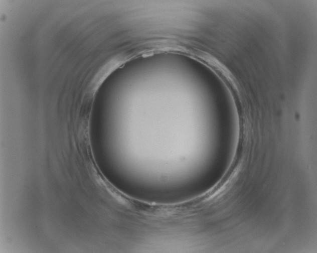 X0000074311385200609081931