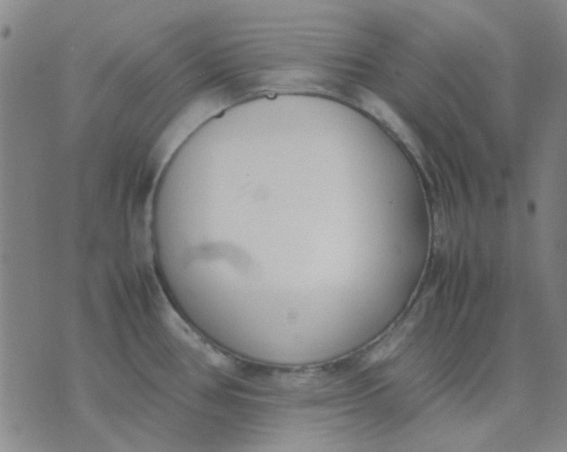 X0000074311386200609081931